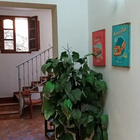 Apartment Charming 2-bedroom With Garden In *